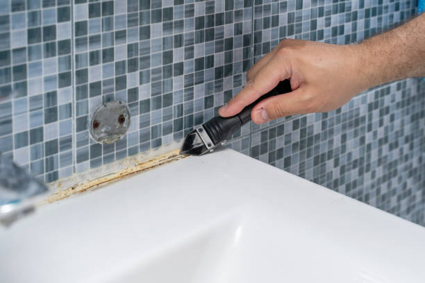 Best Professional Mold Removal  in Hebron, KY
